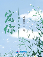 ����ƫ���޶�