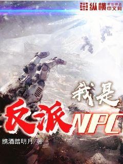 ���Ƿ���npc