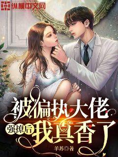 ��ƫִ����ǿ�ú���������