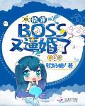 촩BOSSֱƻ